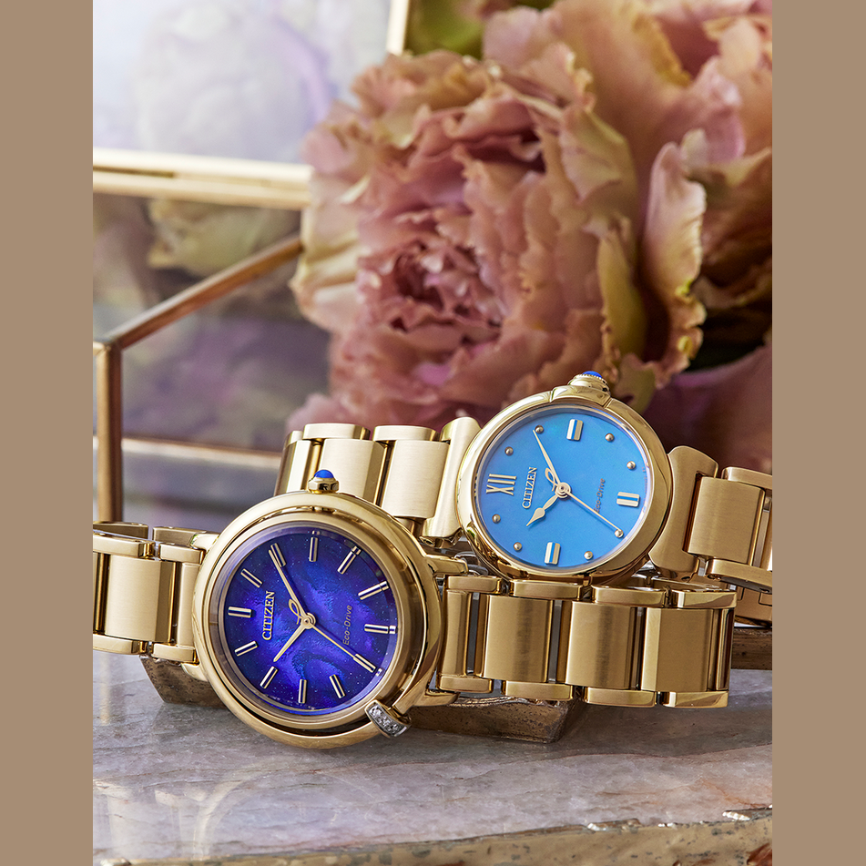 Citizen Dames Eco-Drive EM1099-57L