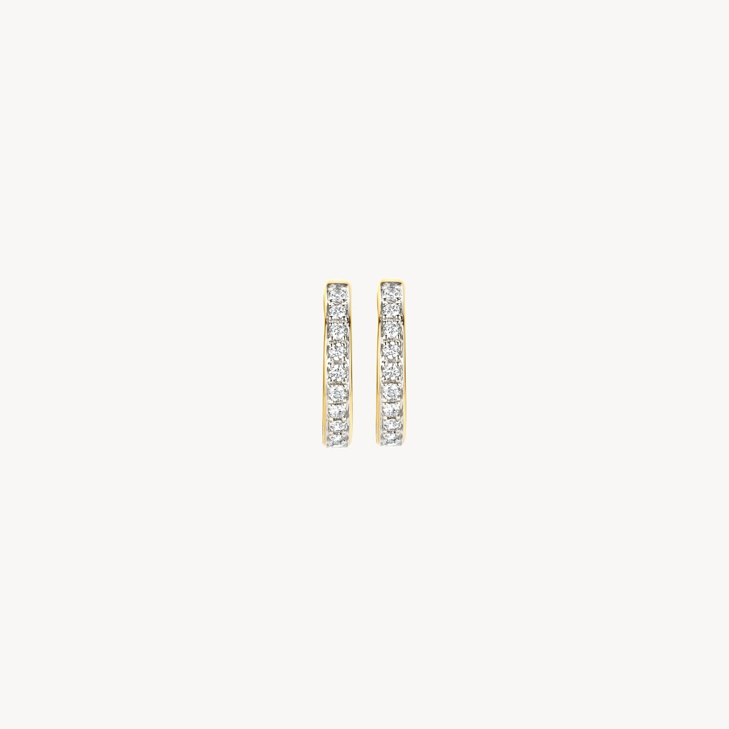Blush Oorringen 14kt Goud 7129BZI