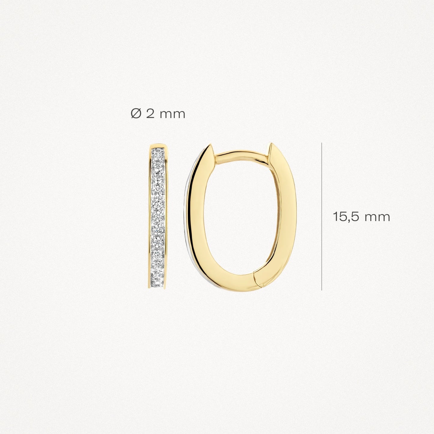 Blush Oorringen 14kt Goud 7234BZI