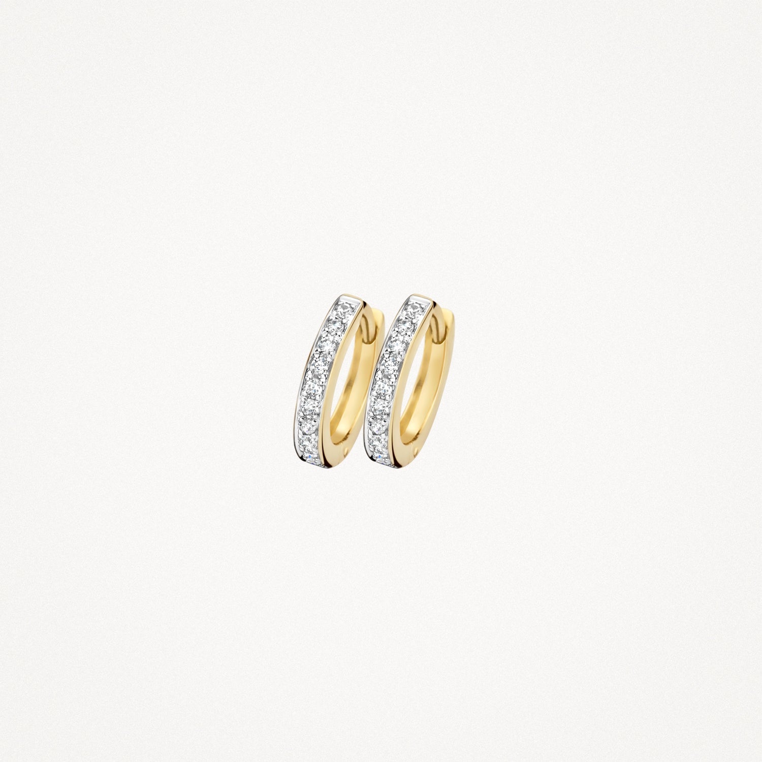 Blush Oorringen 14kt Goud 7129BZI