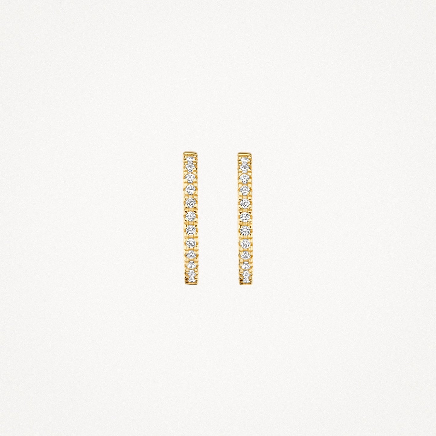 Blush Oorringen 14kt Goud 7309YZI