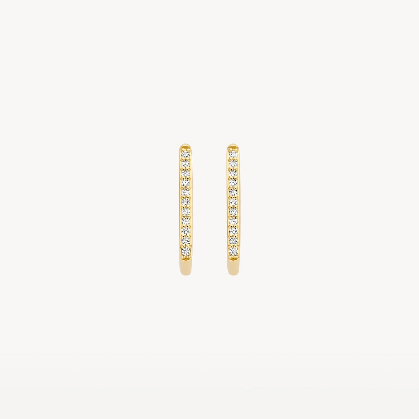 Blush Oorringen 14kt Goud 7318YZI