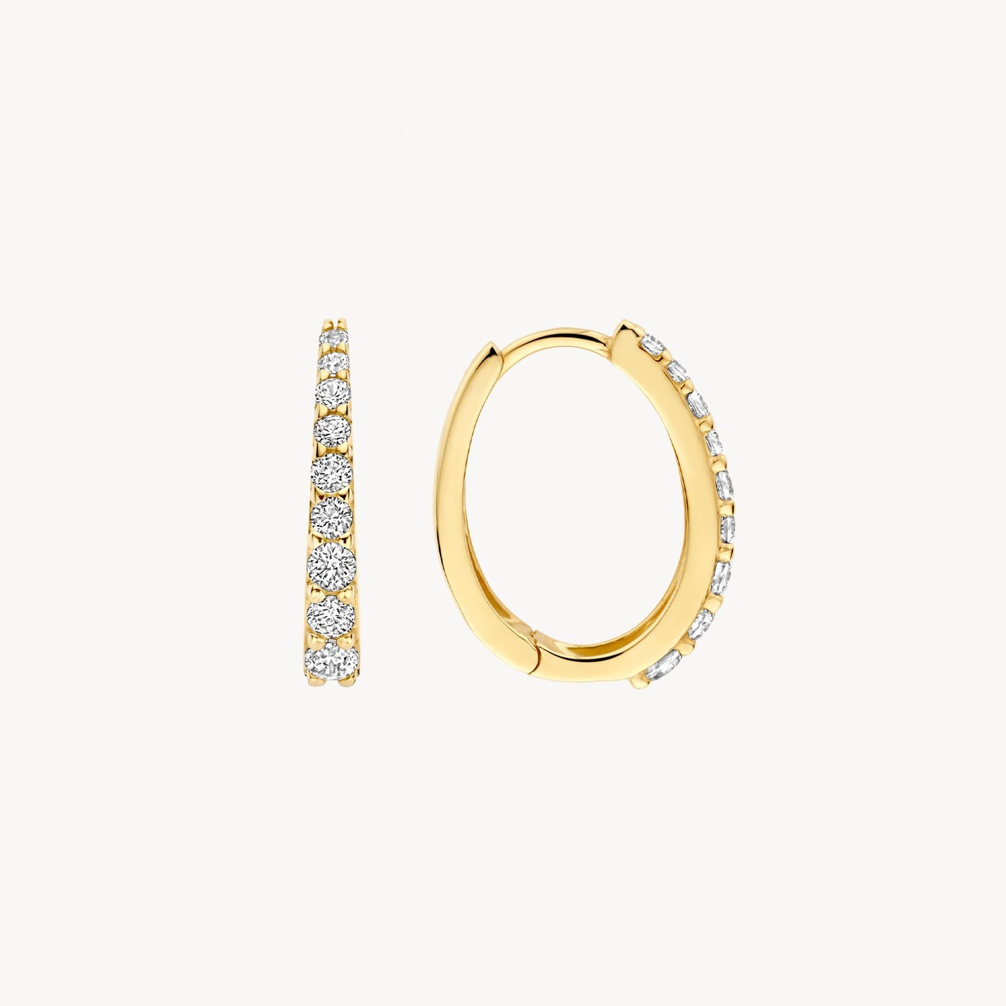 Blush Oorringen 14kt Goud 7342YZI